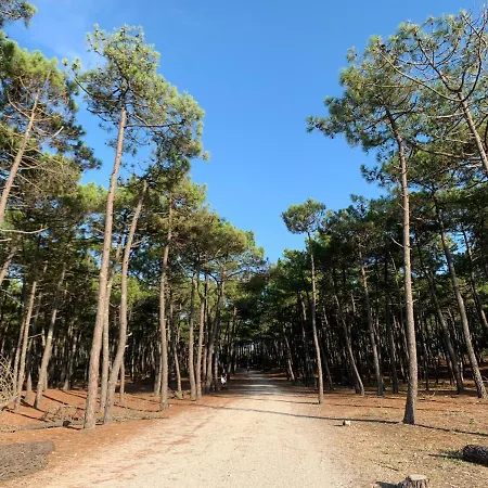 A Cote Du Pont * La Tremblade